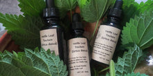 Load image into Gallery viewer, Organic Stinging Nettle Tincture - Urtica dioica
