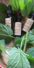 Load image into Gallery viewer, Organic Stinging Nettle Tincture - Urtica dioica
