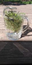 Load image into Gallery viewer, Pine Needle Tea Bulk - 1 Lb - Wholesale Pine Tea - Dried - Organic - FREE SHIPPING
