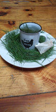 Load image into Gallery viewer, Organic White Pine Needles For Tea - FRESH - Suramin Tea - White Pine Tea
